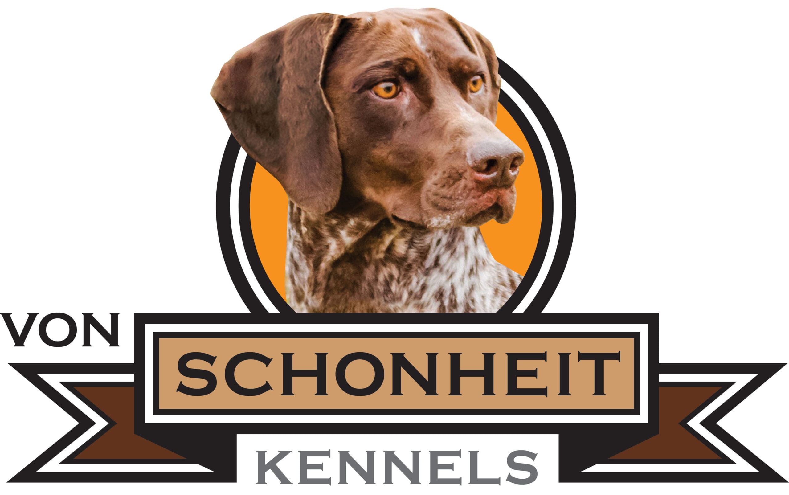 A brown and white dog is sitting in front of the german shorthaired pointer logo.